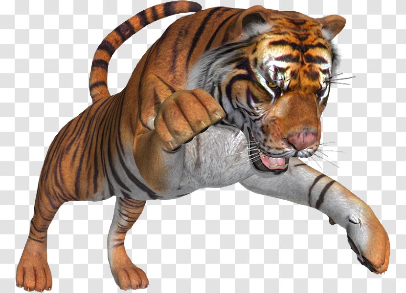 Tiger Lion Cat Clip Art - Panthera Transparent PNG