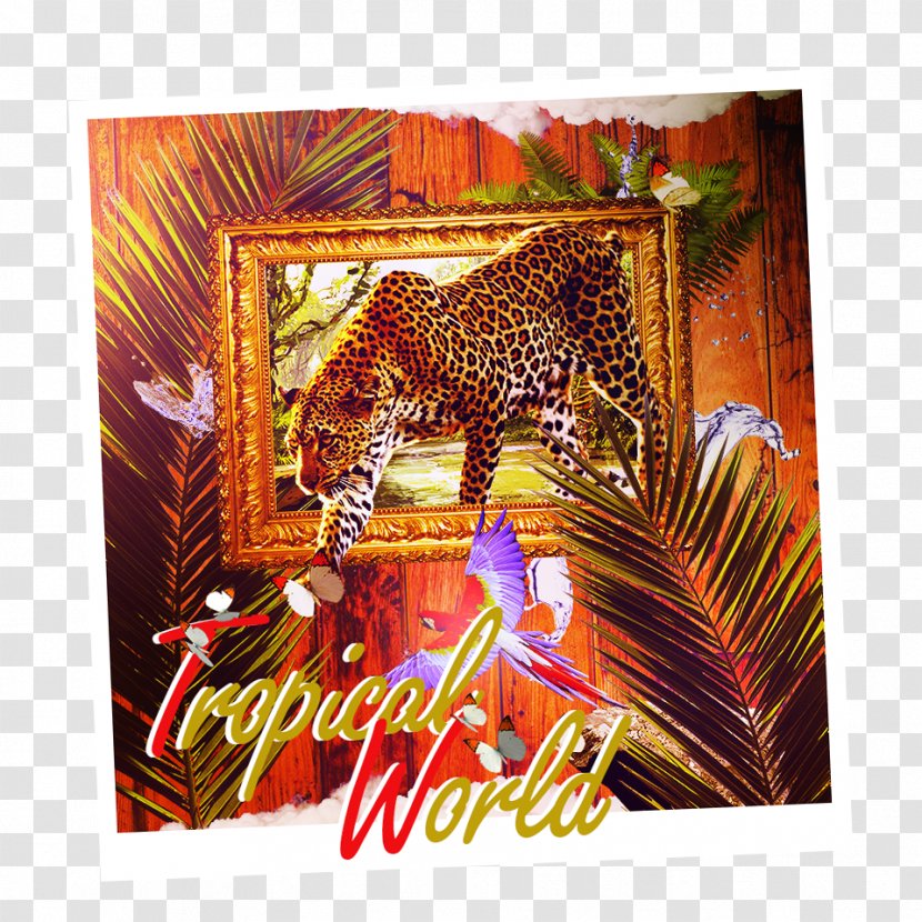 Tiger Jaguar Samsung Advertising Wildlife - Big Cats Transparent PNG