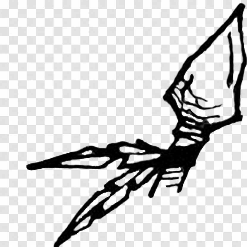Drawing Arrowhead Clip Art - Wing - Arrow Transparent PNG