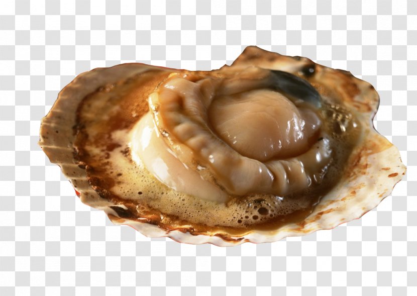Hokkaido Barbecue Seafood Yakitori Japanese Cuisine - Scallop - Oyster In The Picture Material Transparent PNG