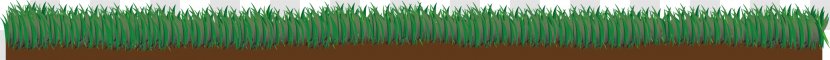 Angle Computer Wallpaper - Grass - Vector Painted Transparent PNG