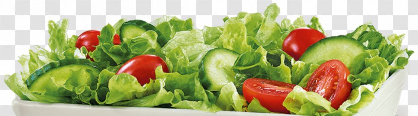 Caesar Salad Stuffing Vinaigrette Spinner - Local Food - Garden Transparent PNG
