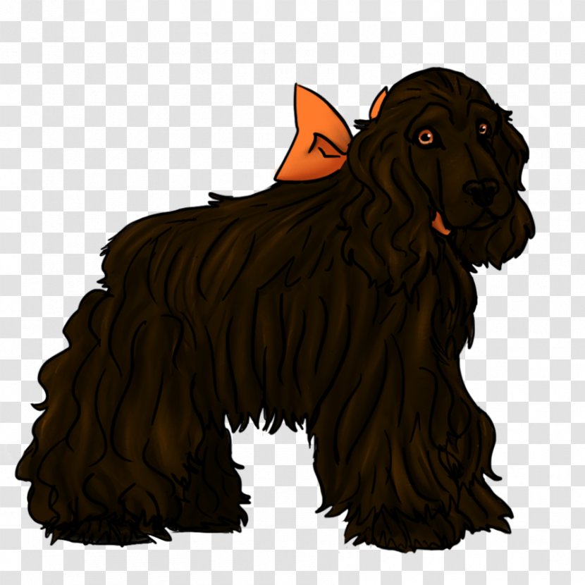 Boykin Spaniel Field Dog Breed Snout - Crossbreed Transparent PNG