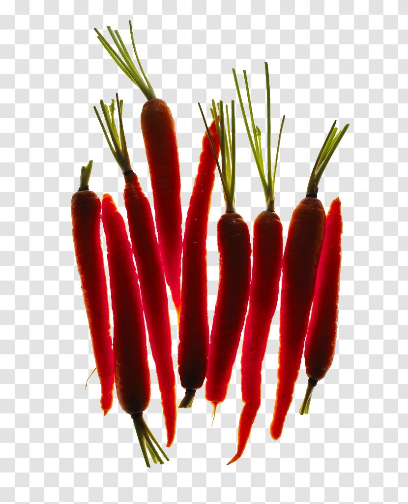 Backlight Birds Eye Chili Carrot - Peperoncini Transparent PNG