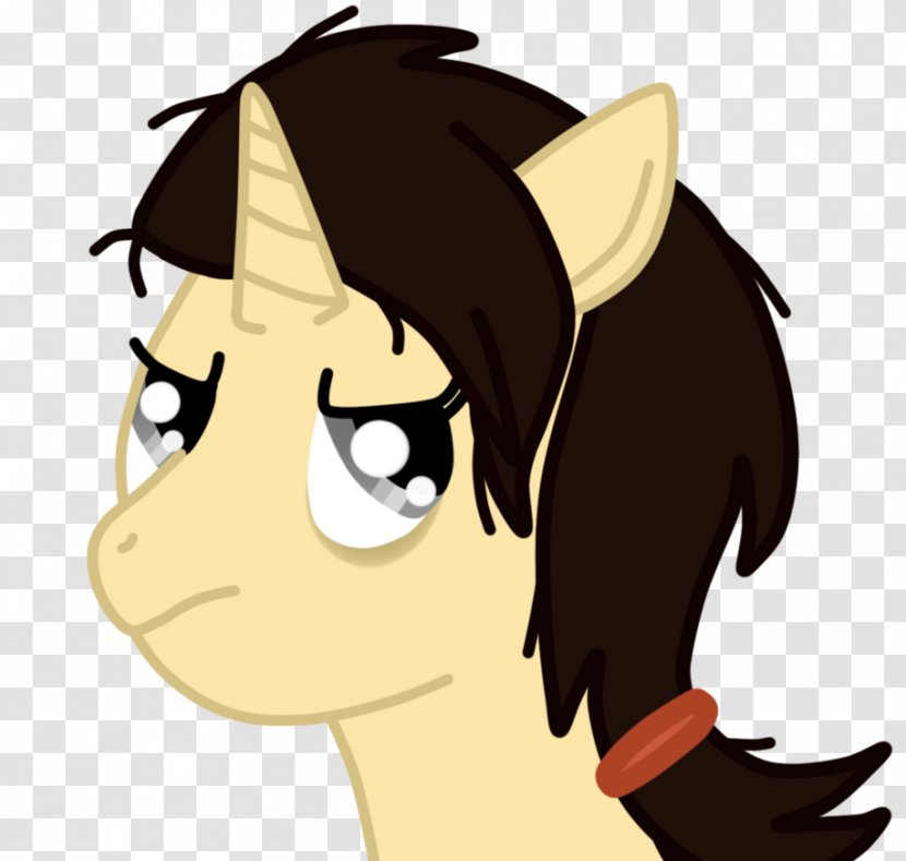 Cat Horse Pony Mammal Ear - Frame Transparent PNG