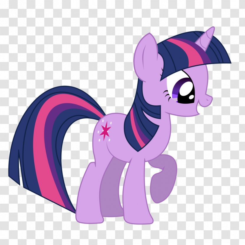 Twilight Sparkle Rarity Princess Cadance Pony Rainbow Dash Transparent PNG