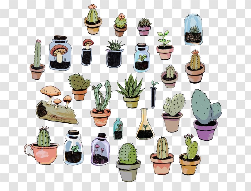 Paper Cactaceae Sticker Succulent Plant - Desert Transparent PNG