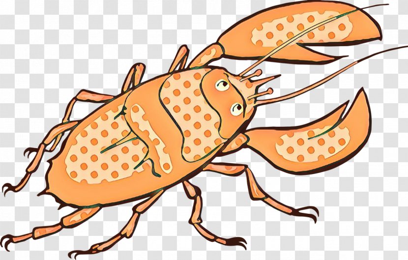 Insect Clip Art Weevil Crayfish Pest Transparent PNG