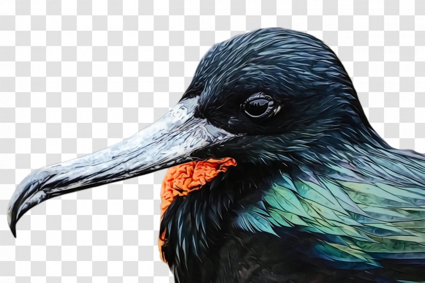 Bird Beak Raven Crow - Wet Ink - Rook Blackbird Transparent PNG
