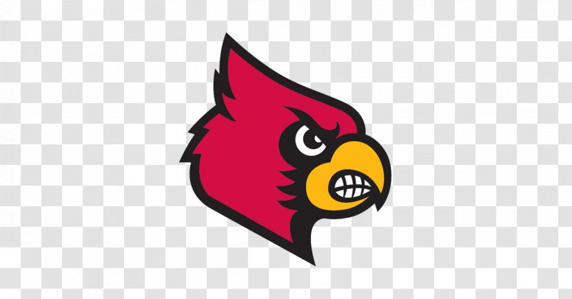 Louisville Cardinals Men's Basketball University Of NCAA Division I Tournament Football Sport - Cardinal Transparent PNG