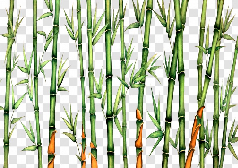Bamboo Download - Bird Transparent PNG