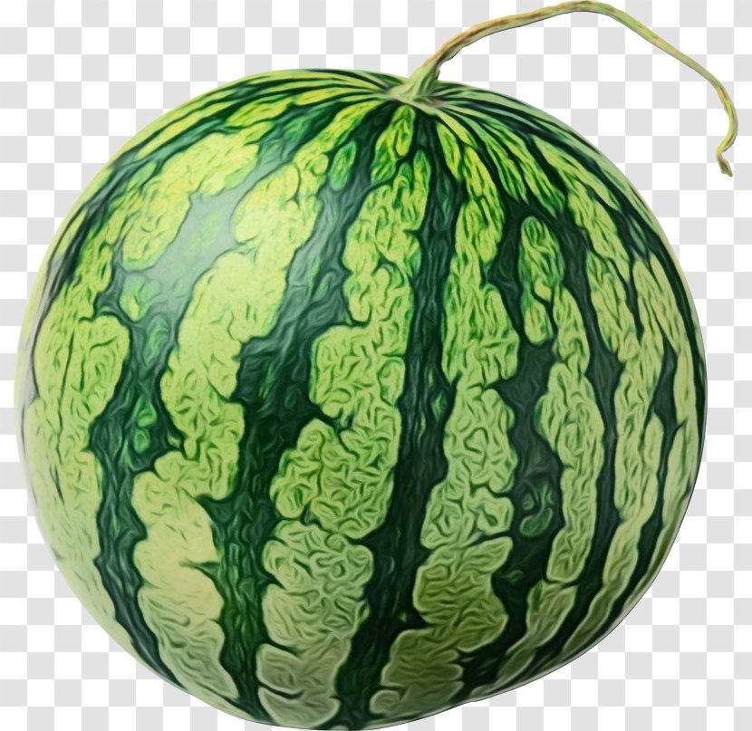 Family New Year - Plant - Squash Vegetable Transparent PNG