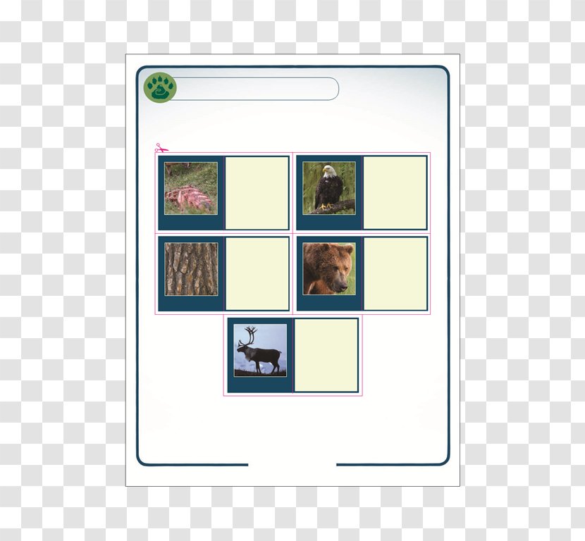 Picture Frames Square Meter Pattern - Childhood Memory Transparent PNG