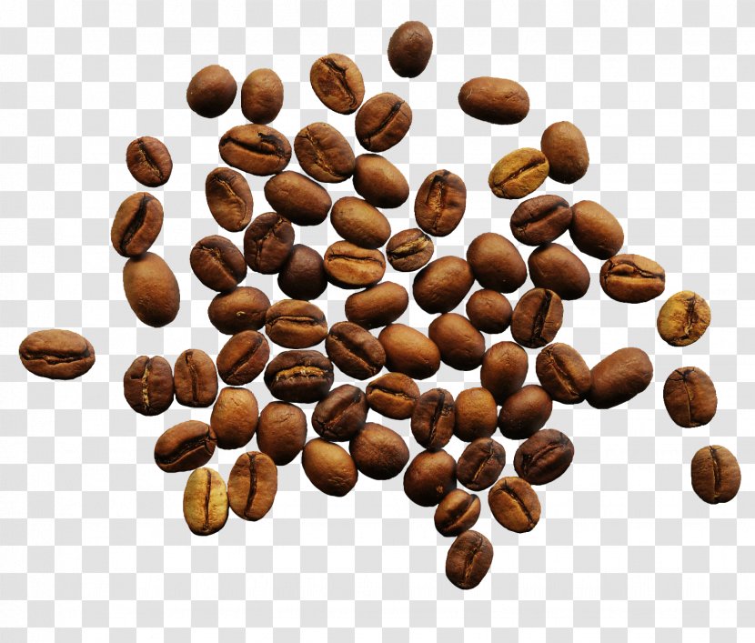 Jamaican Blue Mountain Coffee Espresso Single-origin Bean - Preparation - Beans Transparent PNG