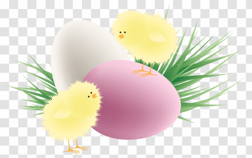 Chicken Red Easter Egg Clip Art - Flower - Transparent Chickens Eggs And Grass Clipart Picture Transparent PNG