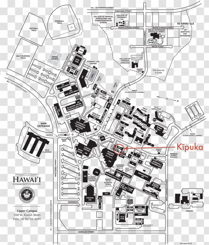 University Of Hawaii Campus College Student Transparent PNG