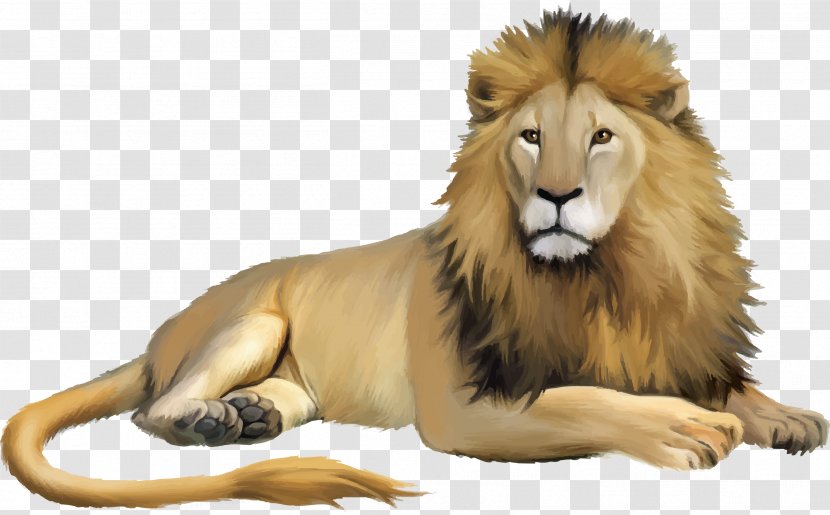 Lion Cartoon - Masai Transparent PNG