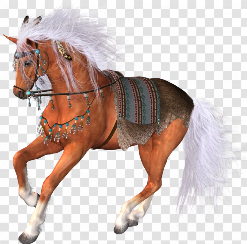 Horse Clip Art Image - Rein Transparent PNG