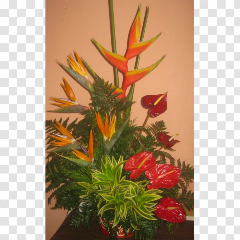 Floral Design Flowerpot Flowering Plant Transparent PNG
