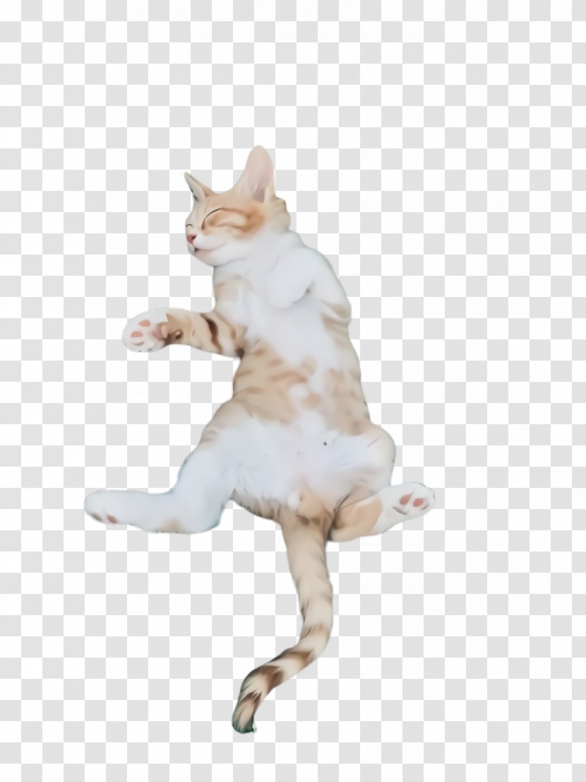 Cat White Figurine Small To Medium-sized Cats Tail - Kick Jumping Transparent PNG