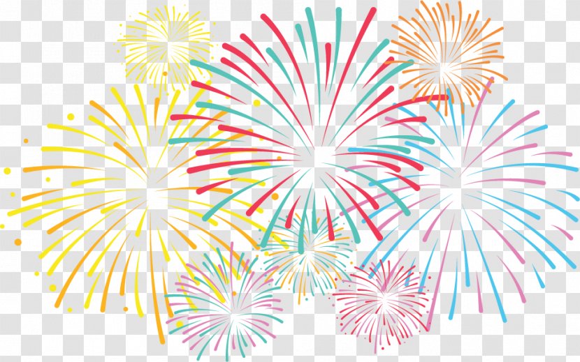 Clip Art Fireworks Openclipart Image Drawing - Flowering Plant Transparent PNG