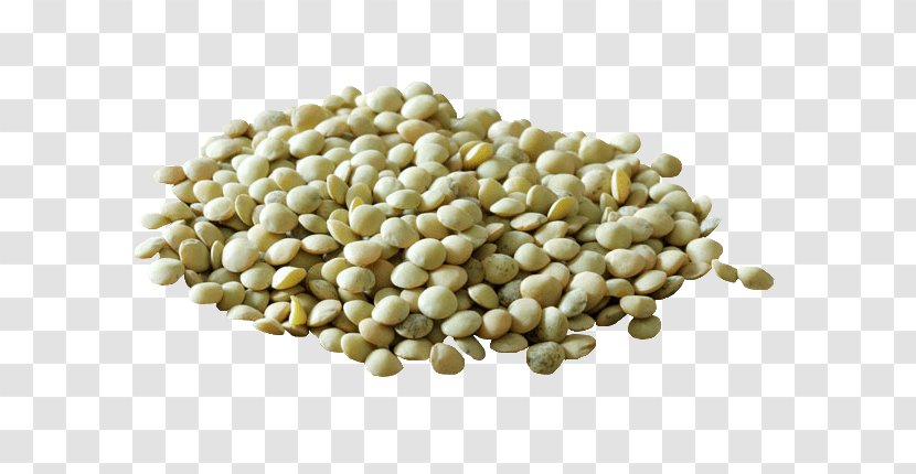Lentil Vegetarian Cuisine Common Bean Mung - Green Beans Transparent PNG