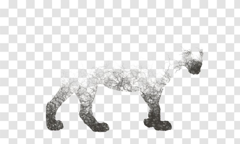 Cat Canidae Dog Mammal Animal Figurine Transparent PNG