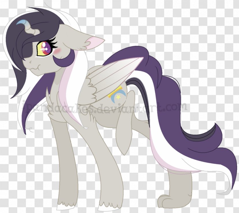 Pony Cat Horse Dog Canidae - Small To Medium Sized Cats Transparent PNG