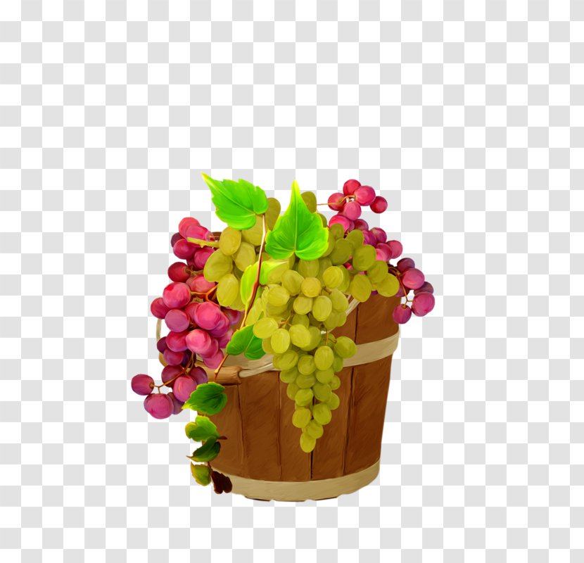Grape Seed Extract Flowerpot Superfood Transparent PNG