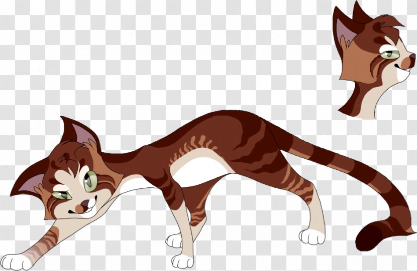 Whiskers Red Fox Cat Fur - Big Transparent PNG
