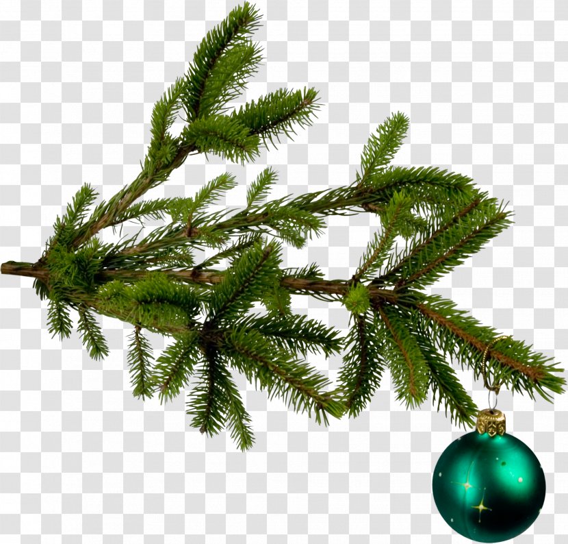 Christmas Tree Ornament Fir - Conifer Transparent PNG