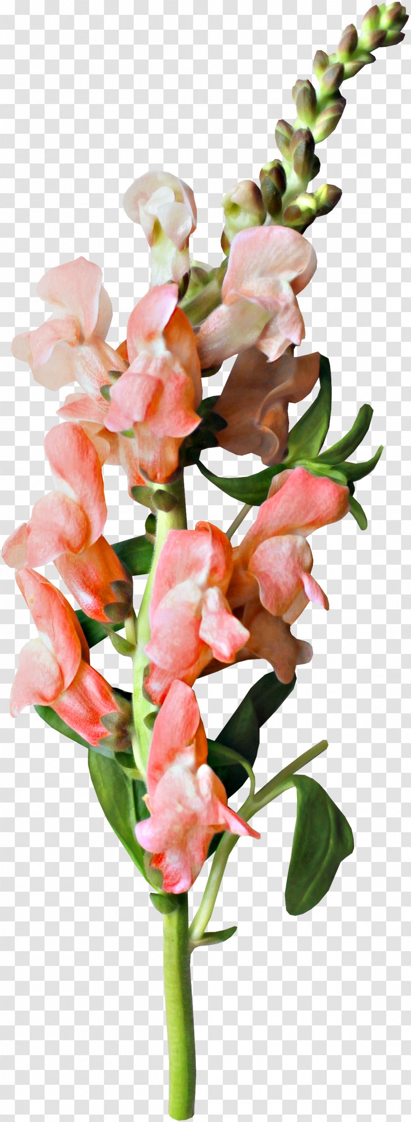 Flower Clip Art - Floral Design - Beautiful Bouquet Of Fresh Flowers Transparent PNG