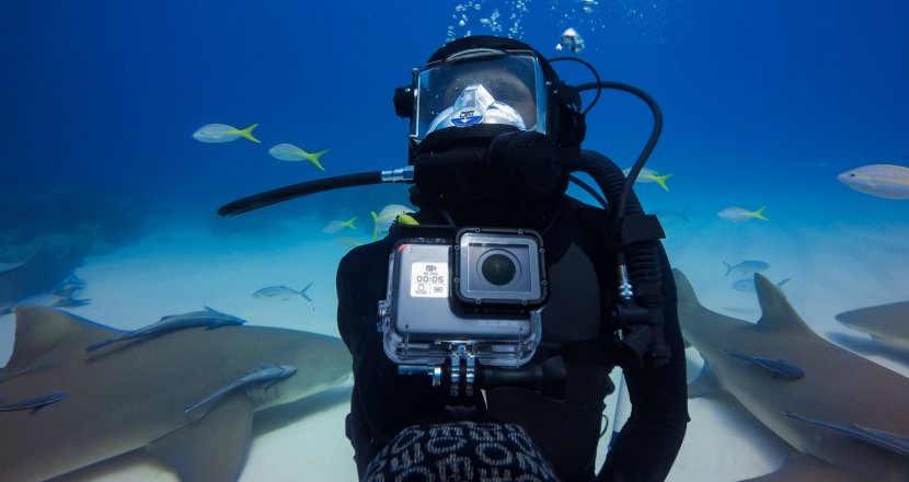GoPro HERO5 Black Camera Underwater Photography Waterproofing - Marine Biology - Gopro Cameras Transparent PNG