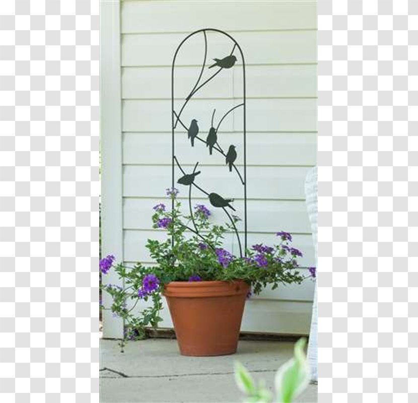 Trellis Flowerpot Gardening Vine - Leather Flower - Pots Transparent PNG