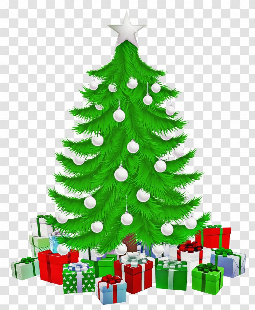 Christmas Tree - Oregon Pine - Conifer Spruce Transparent PNG