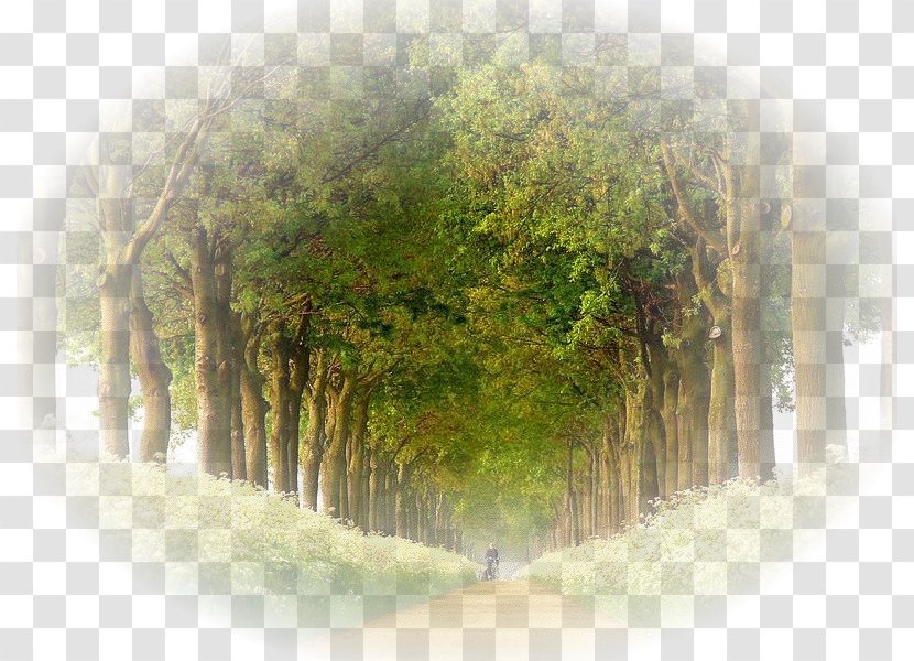 Landscape Photography Photographer Nature Transparent PNG