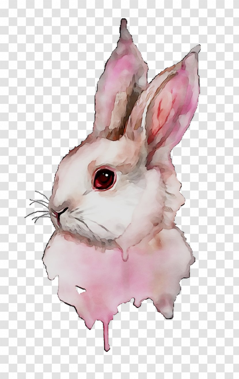 Domestic Rabbit Hare Easter Bunny Whiskers - Pink Transparent PNG