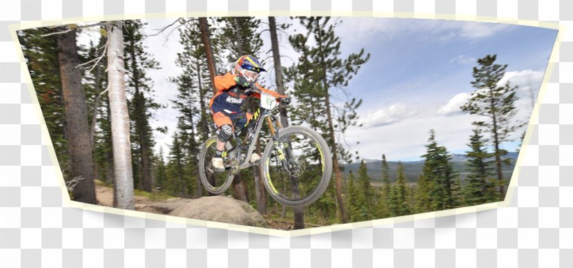 Mountain Bike Freeride Hybrid Bicycle BMX - Vehicle Transparent PNG