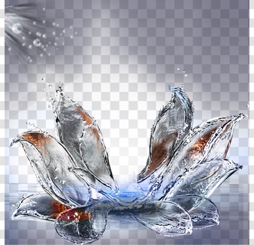 Water Glass - Splash - Background Vector Material Lotus Transparent PNG