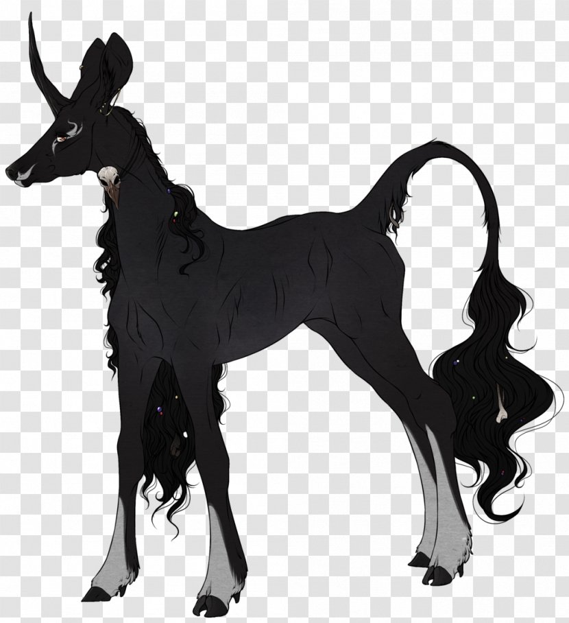 Dog Mustang Goat Pack Animal Freikörperkultur Transparent PNG