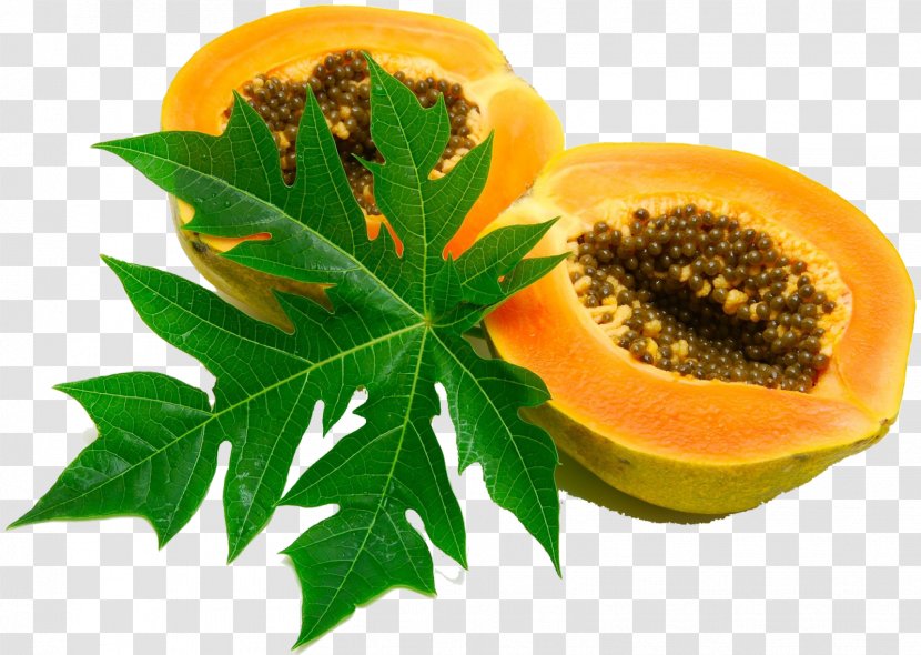 Papaya Leaf Juice Extract Syrup - Superfood - 100-natural Transparent PNG