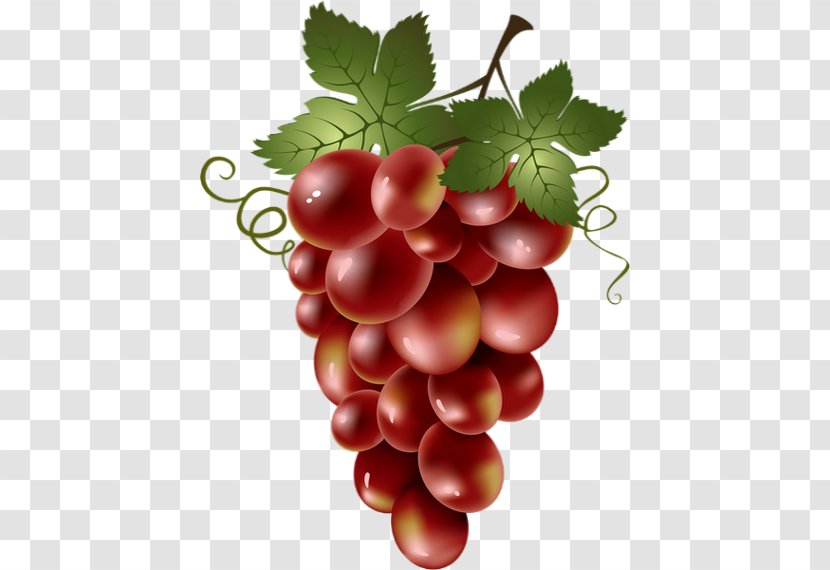 Common Grape Vine Red Wine Clip Art - Frutti Di Bosco Transparent PNG