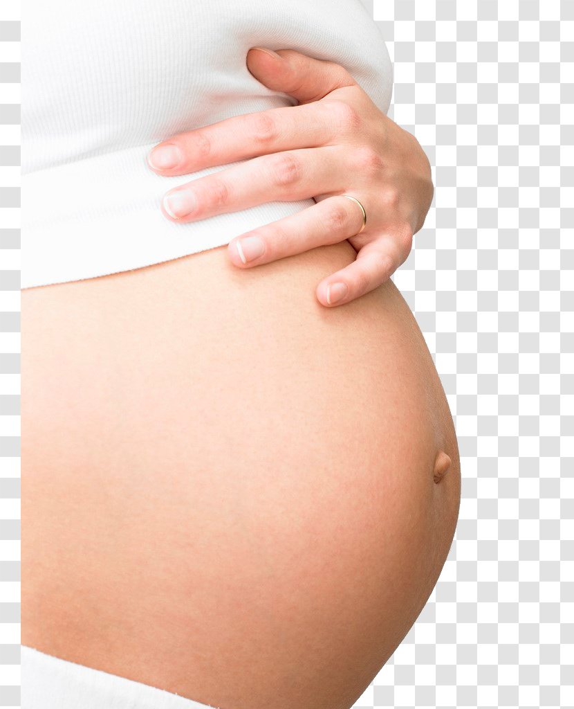 Attendre Un Enfant Pregnancy Child Bxe9bxe9 Mother - Tree - Pregnant Woman,belly,pregnancy,Mother,Pregnant Transparent PNG