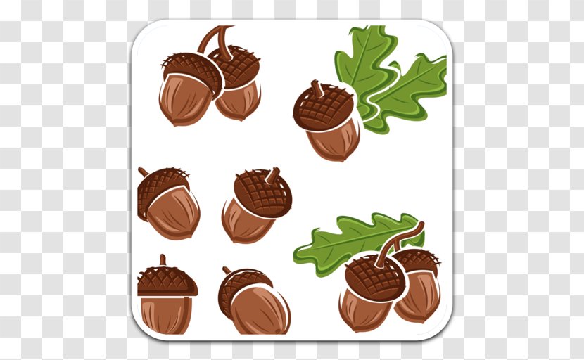 Acorn Oak - Dessert Transparent PNG