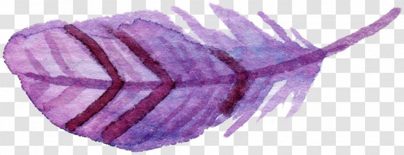 Feather Copyright Clip Art - Petal - Hand-painted Feathers Transparent PNG