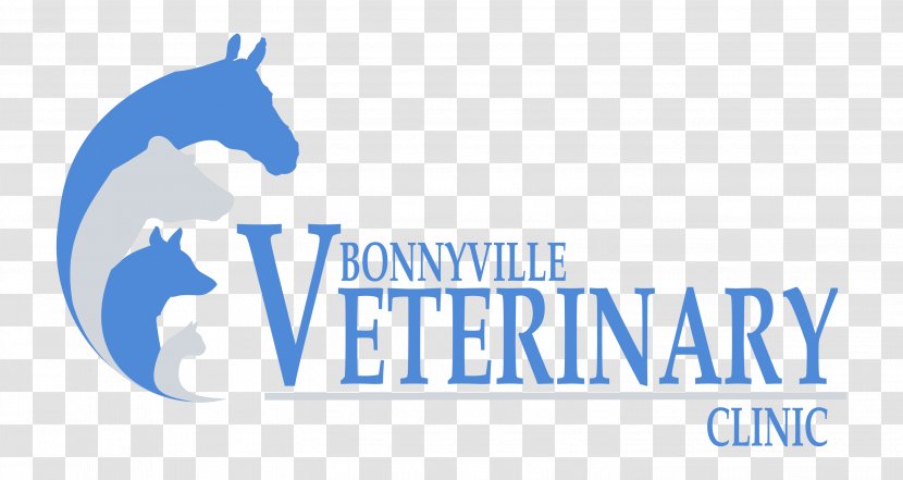 Logo Horse Veterinarian Clinique Vétérinaire Bonnyville Veterinary Clinic Transparent PNG