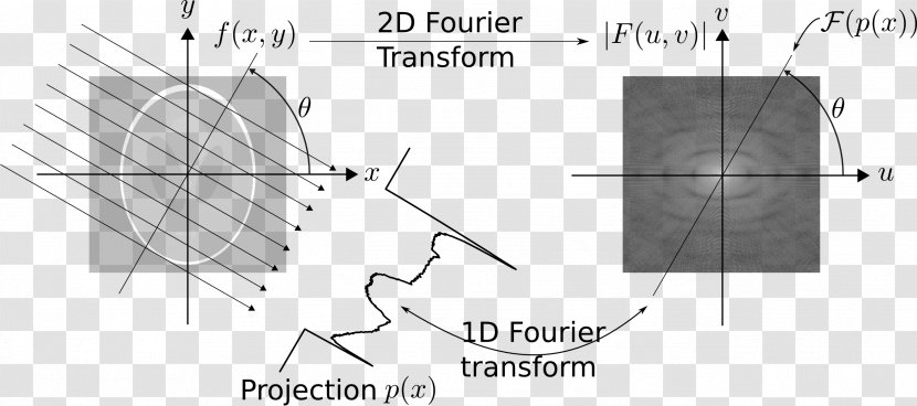 Fourier Transform Series Projection-slice Theorem Carleson's - Cartoon - Computed Tomography Transparent PNG