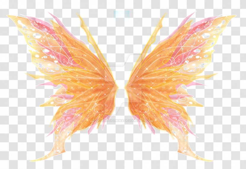 Fairy - Wing - Invertebrate Transparent PNG
