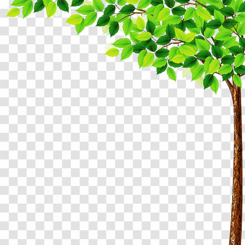 Green Leaf Tree Plant Branch - Flower Twig Transparent PNG