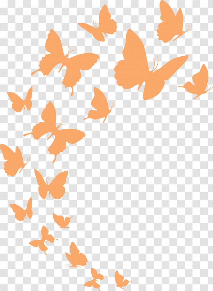 Angle Line Point Butterflies Pattern Transparent PNG